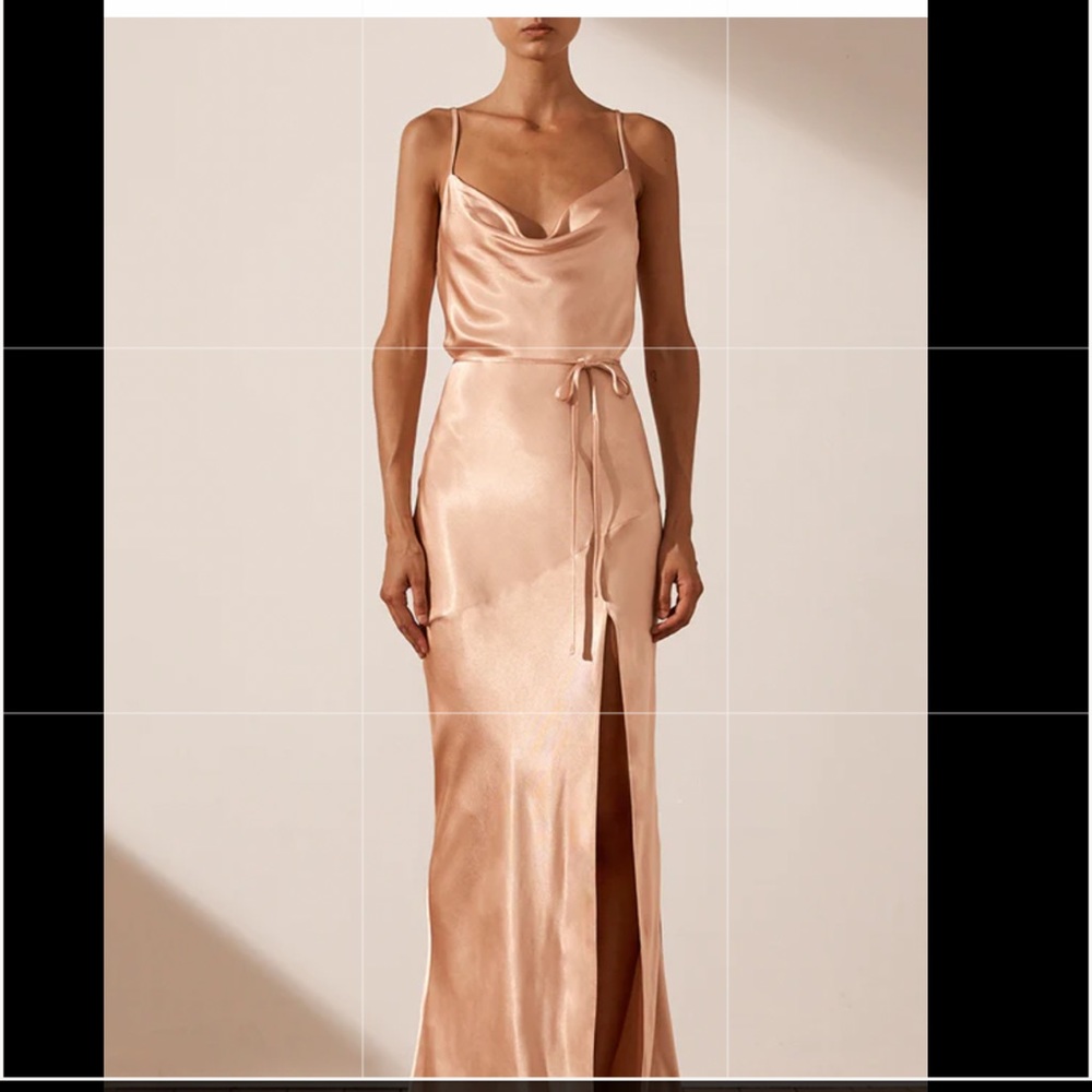 LA LUNE BIAS COWL MAXI DRESS - DESERT ROSE